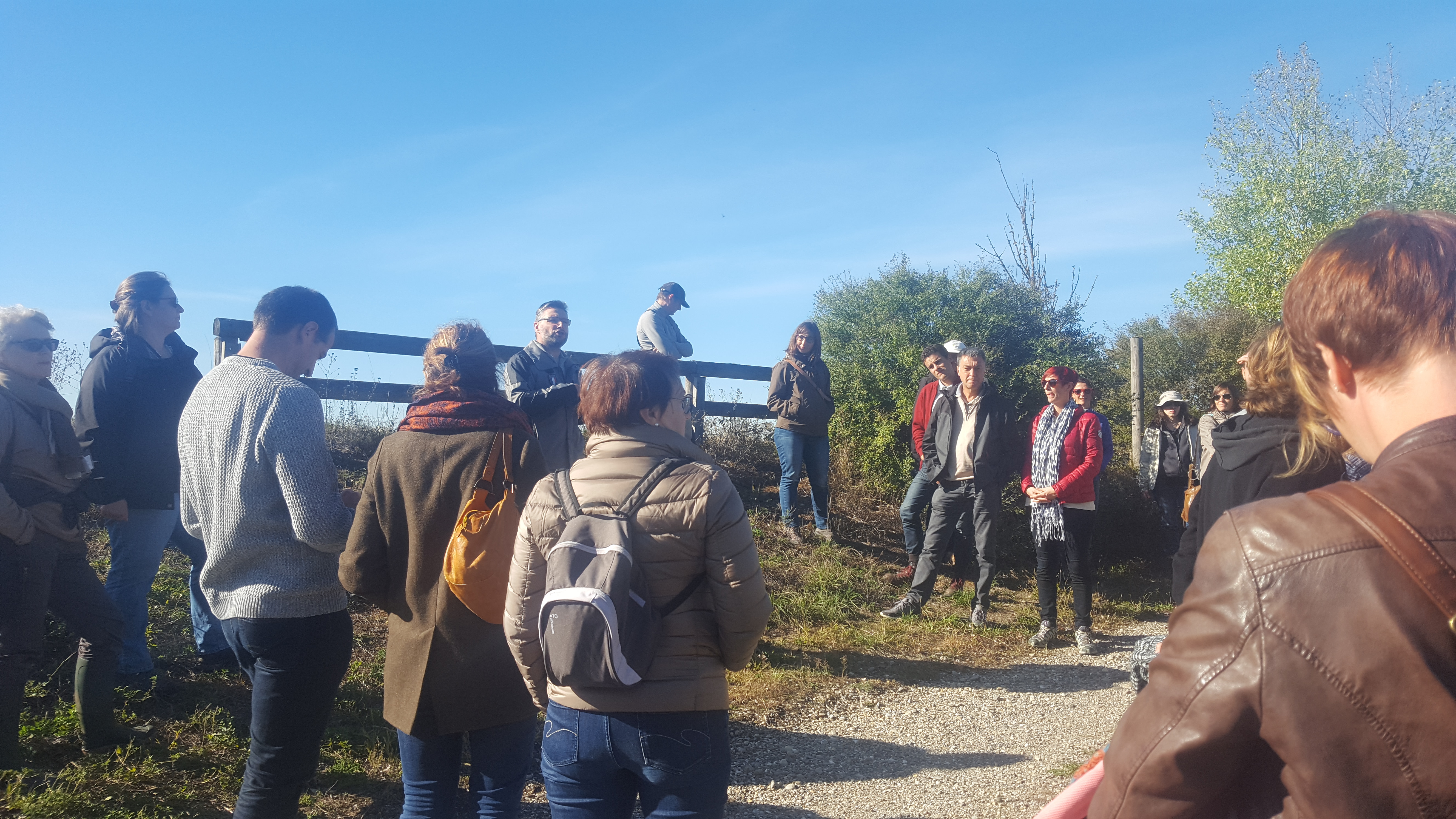 Visite de la réserve du Rohrschollen