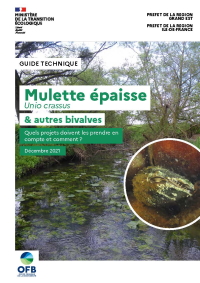 Guide "Mulette épaisse (Unio crassus) et autres bivalves"