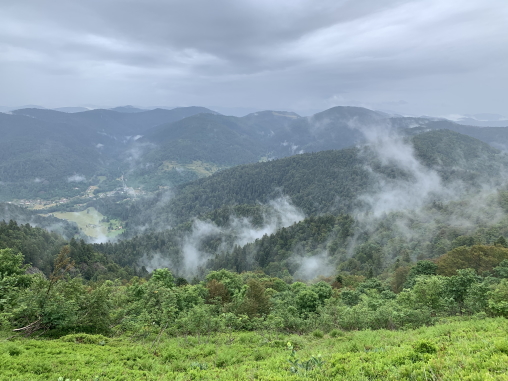 Massif du ballon d'Alsace