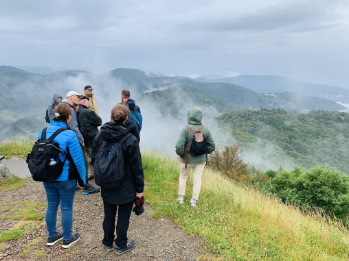 Inspection du CGEDD "OGS" du massif du ballon d'Alsace