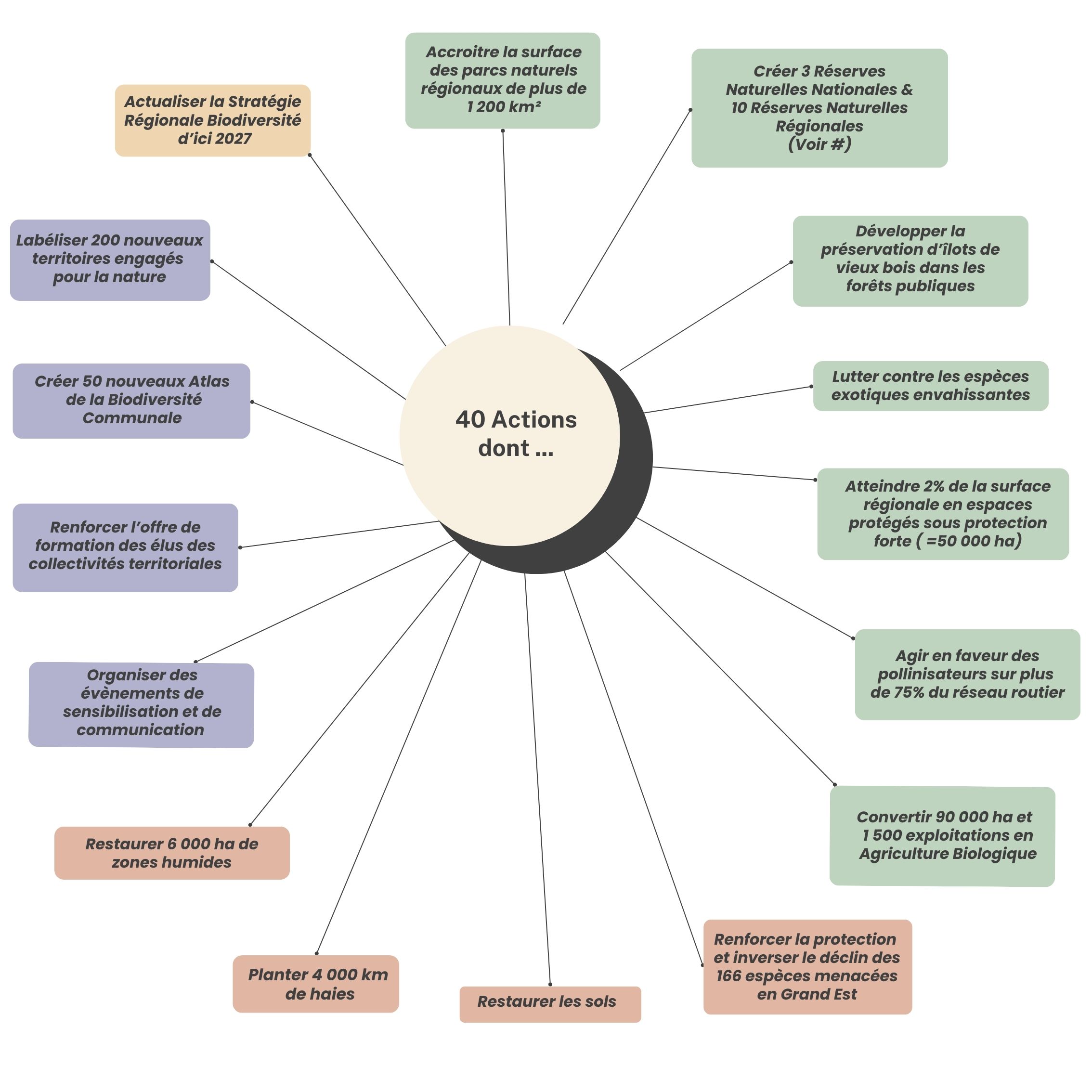 40 actions en Grand Est pour territorialiser la SNB 2030