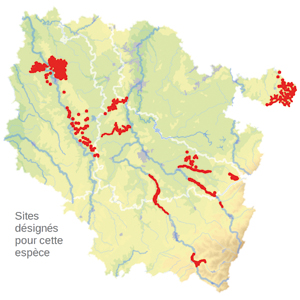 Carte de situation