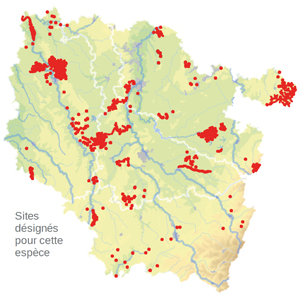 Carte de situation