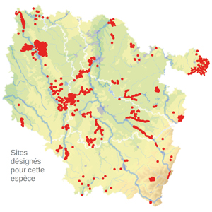 Carte de situation