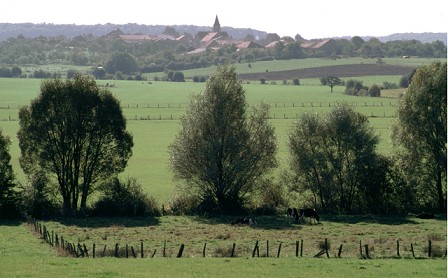 Le plateau lorrain