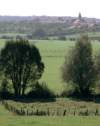 Le plateau lorrain