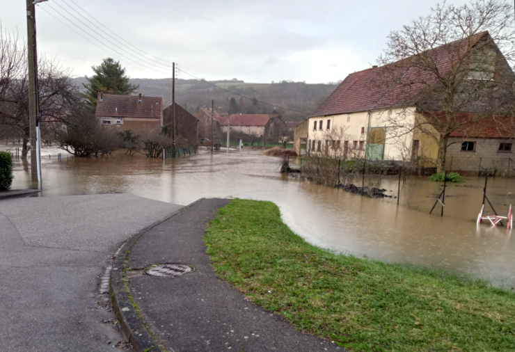 Bliesbruck (57) : crues de la Blies (janvier 2024)