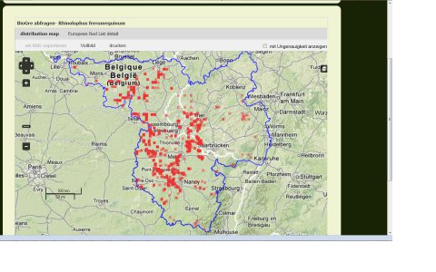 Portail bio-gr.eu : répartition du Grand rhinolophe dans la Grande région. 