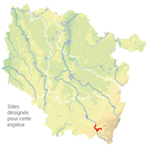 carte_de_situation carte_de_situation
