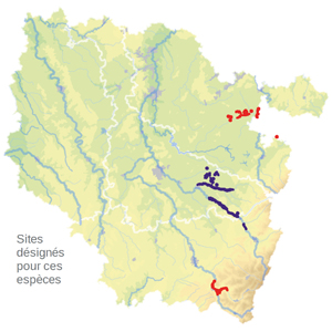 Carte de situation