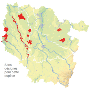 Carte de situation Carte de situation