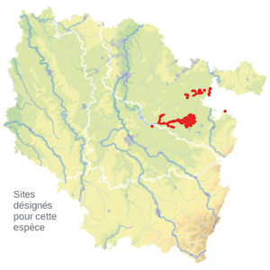 cartographie cartographie