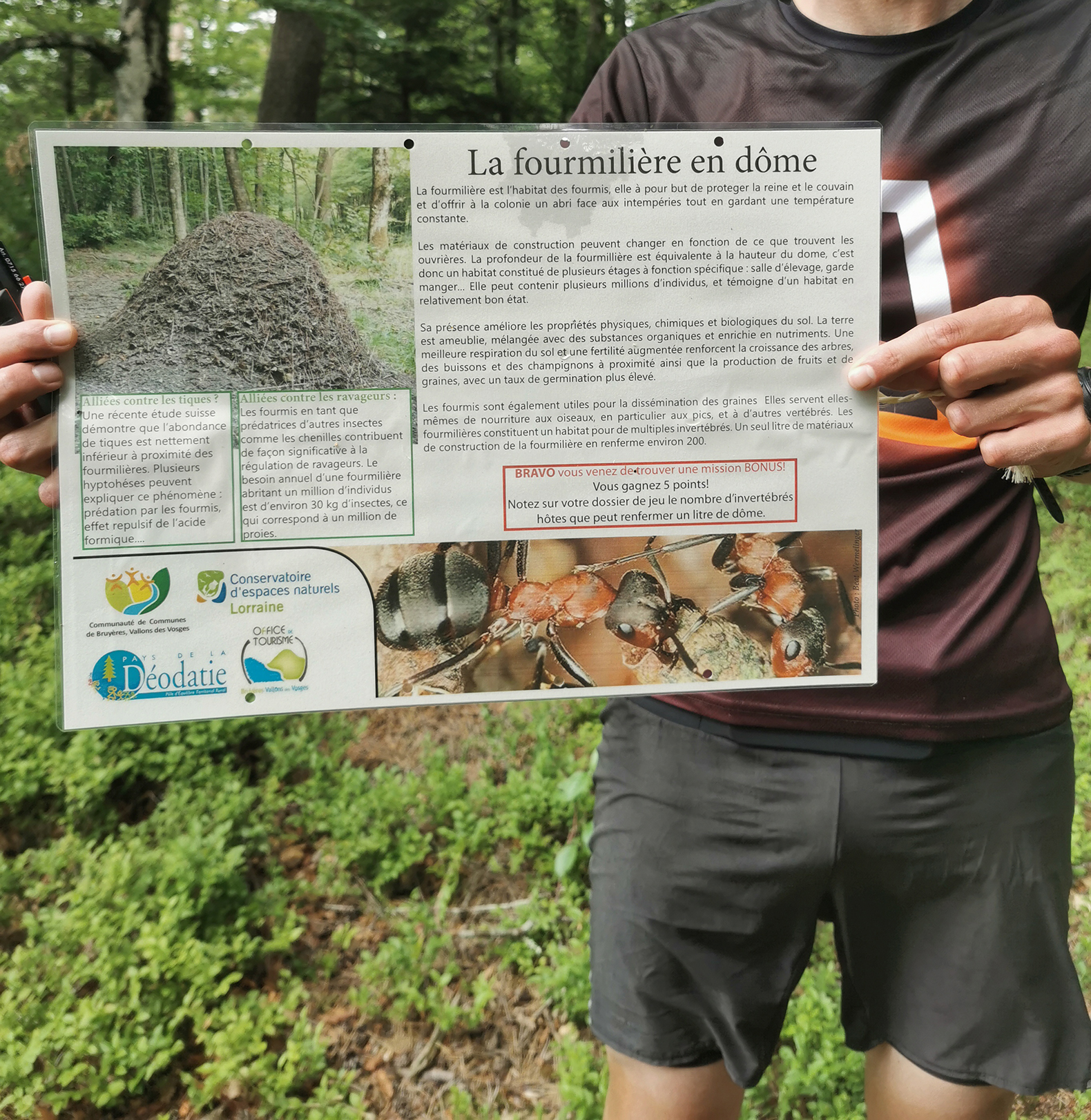 Image 2 : Course au trésor