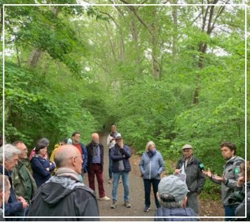 Groupe de personnes discutant, réuni en extérieur, en forêt.