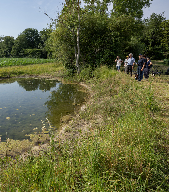 Restauration de la trame humide en milieu agricole par la création de mares le long du Hoelachgraben
