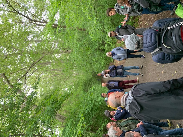 Groupe de personnes discutant, réunit en extérieur, en forêt.