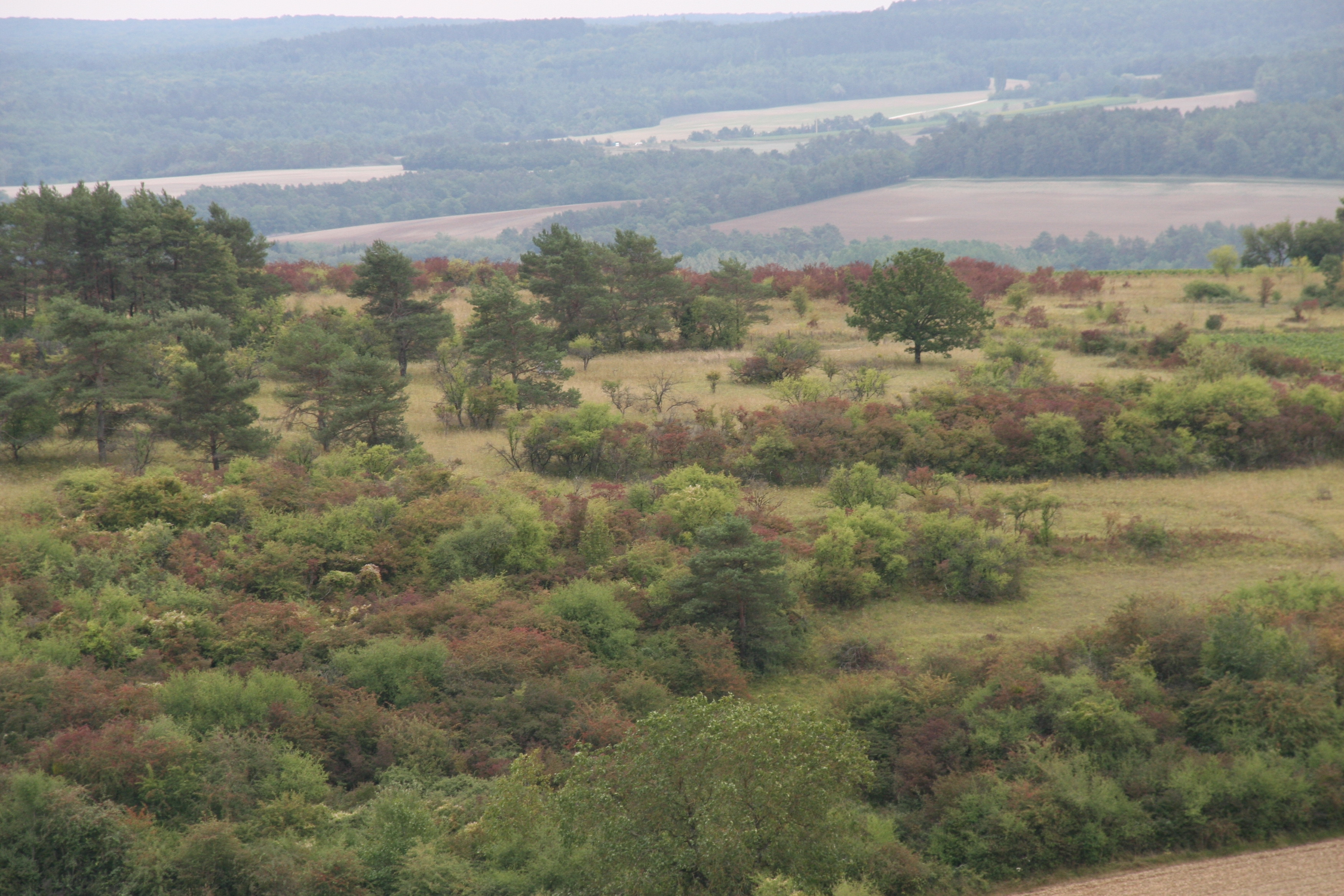 Landreville Landreville