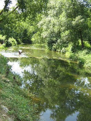 Le Loison à Han-les-Juvigny