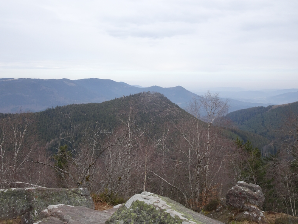 Vue sur le Donon