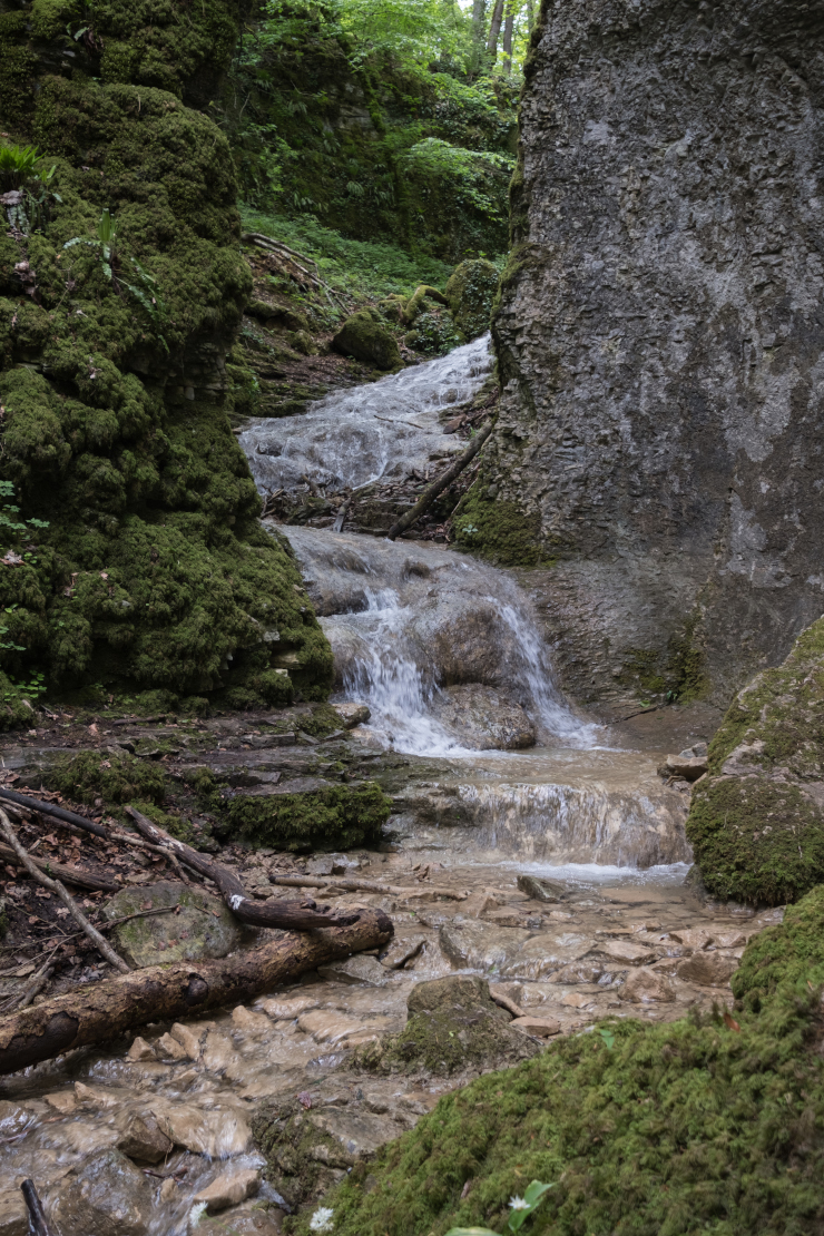 Classement de la Haute vallée et des gorges de la Vingeanne Classement de la Haute vallée et des gorges de la Vingeanne