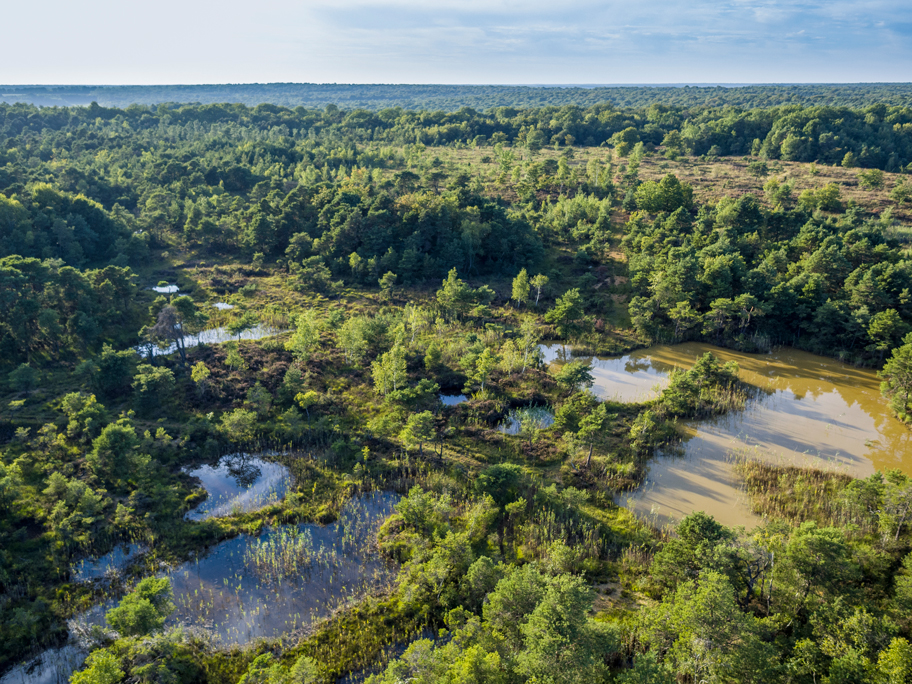 Vue aérienne de la réserve