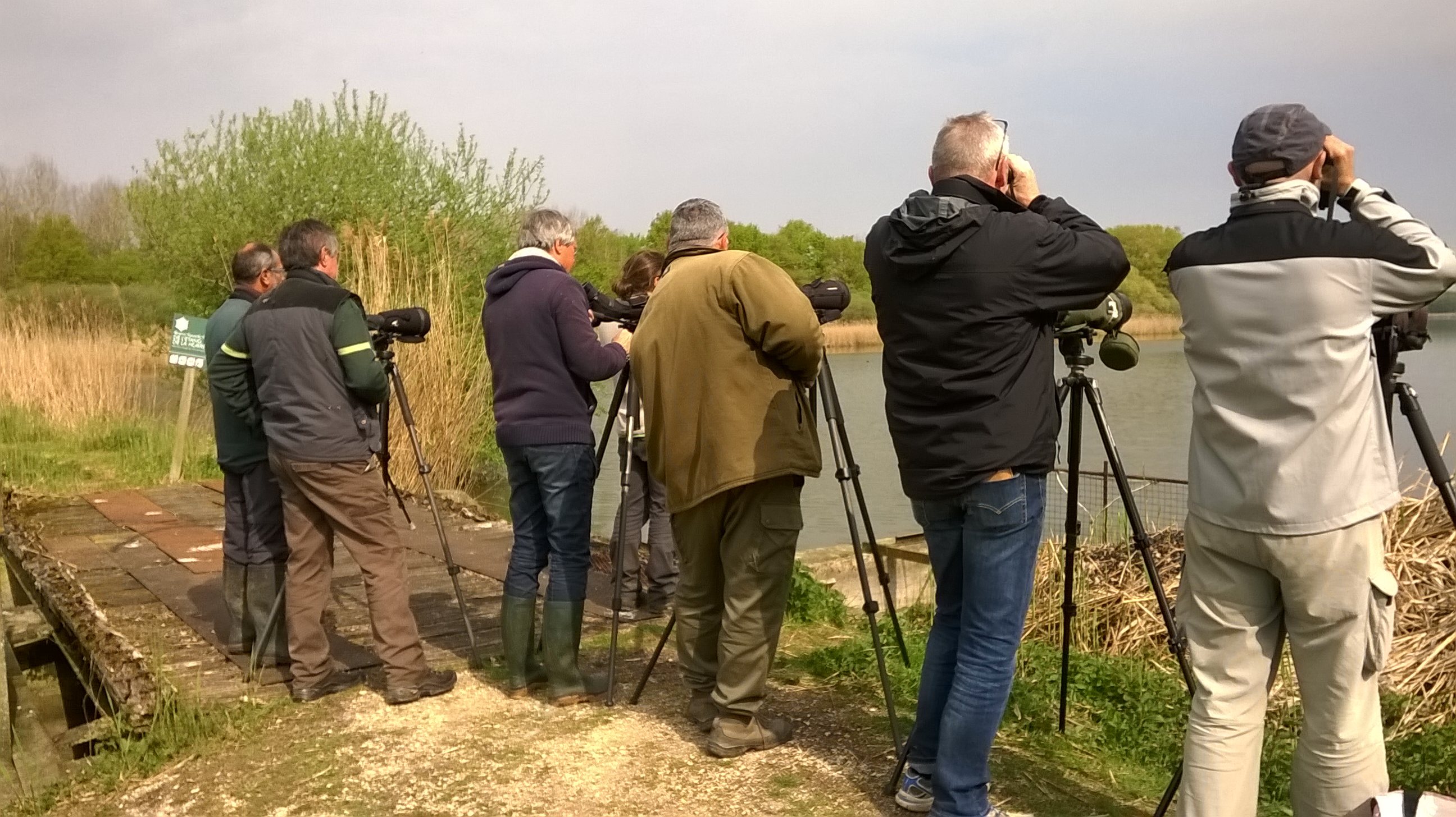 Comptage hivernal des oiseaux d'eau